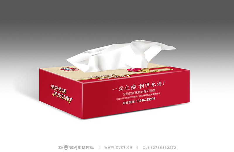 哈尔滨中亿昇视餐饮策划设计｜餐饮品牌企业形象VI设计｜纸巾盒设计