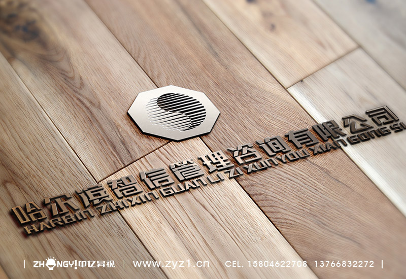 哈尔滨中亿昇视策划设计｜哈尔滨中亿昇视标志设计｜教育培训品牌企业形象VI设计｜教育培训品牌LOGO设计