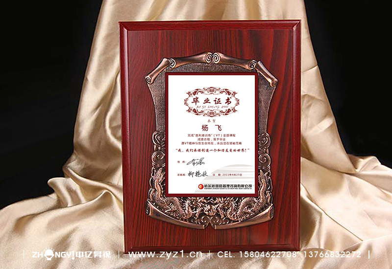 哈尔滨中亿昇视策划设计｜哈尔滨中亿昇视标志设计｜教育培训品牌企业形象VI设计｜毕业证书设计