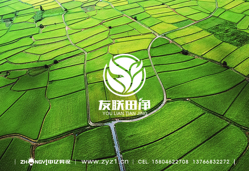 哈尔滨中亿昇视农资策划设计｜哈尔滨中亿昇视标志设计｜农资品牌企业形象VI设计｜农资品牌LOGO设计